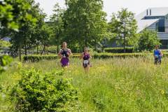 2026_05_31_13_38_Marathon-van-Groningen_-Sjoerd-_9459